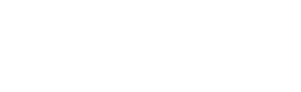 Настоящий Электронный Полис